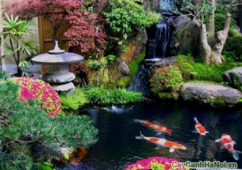 Kiểu sân vườn biệt thự nước ở Nhật 