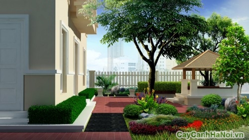 Cảnh quan sân vườn giúp thiết lập giới hạn cho ngôi nhà bạn