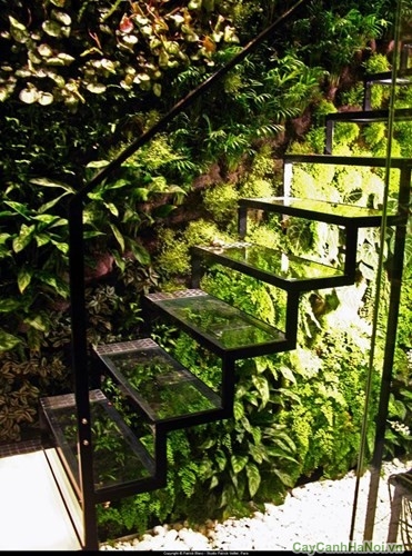 Tạo không gian xanh-tường cây dưới chân cầu thang kính