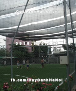 Lưới che nắng Thái Lan 14 Cuộn lưới che nắng