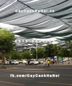 Lưới che nắng Thái Lan 15 Cuộn lưới che nắng