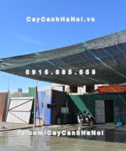 Lưới che nắng Thái Lan 16 Cuộn lưới che nắng