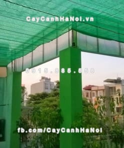 Lưới che nắng Thái Lan 17 Cuộn lưới che nắng