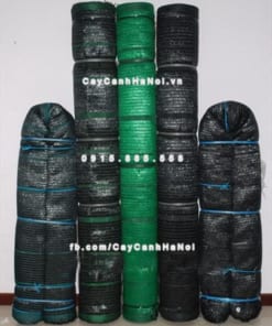 Lưới che nắng Thái Lan 19 Cuộn lưới che nắng