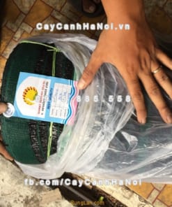 Lưới che nắng Thái Lan 9 Cuộn lưới che nắng