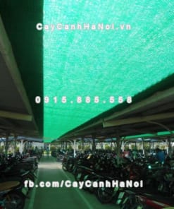 Lưới che nắng Thái Lan 11 Cuộn lưới che nắng