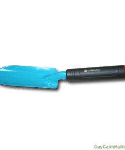 bay dung cho san vuon 1