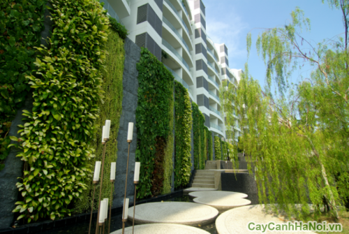 canh quan do thi xanh2