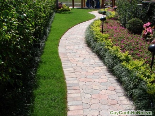 canh quan san vuon10