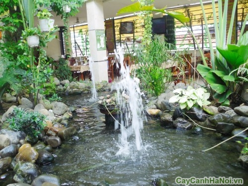 canh quan san vuon12