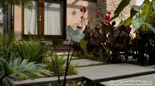 canh quan san vuon24