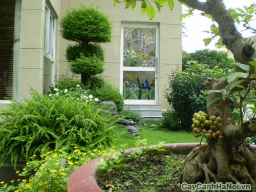 canh quan san vuon35