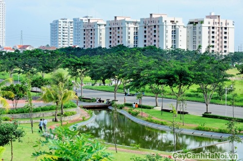 cay xanh cong trinh4