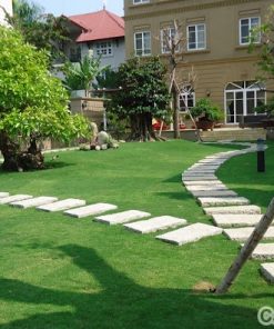 Cỏ nhân tạo sân vườn 3 co nhan tao an vuon 4