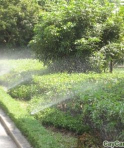 Hệ thống tưới tự động 2 he thong tuoi san vuon