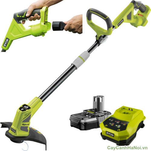 ky thuat cham soc san vuon2