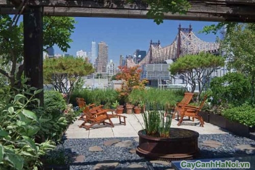 san vuon cho san thuong3