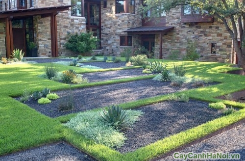 san vuon tieu canh11