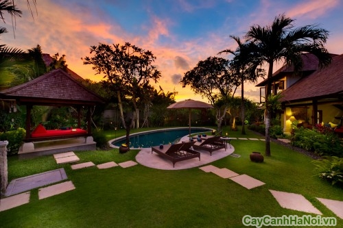 thiet ke canh quan biet thu21