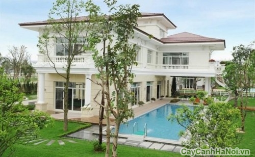 thiet ke canh quan biet thu3