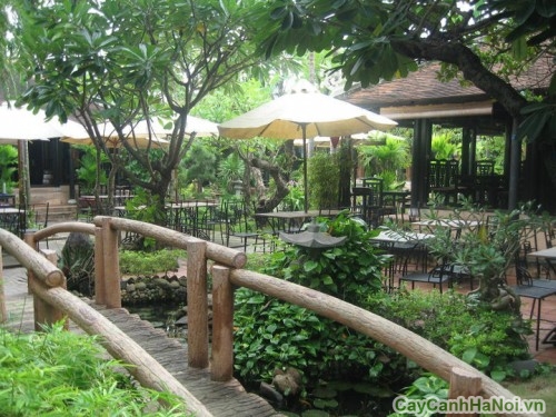 thiet ke canh quan cafe san vuon1