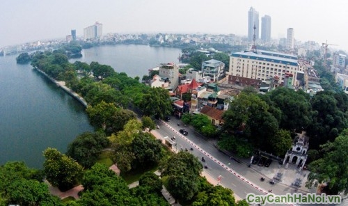 thiet ke canh quan do thi1