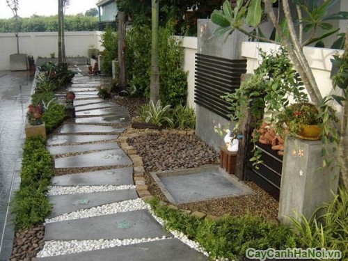 thiet ke san vuon110