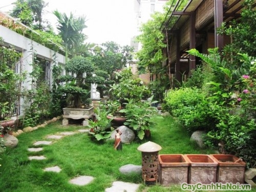 thiet ke san vuon21