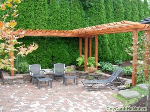 thiet ke tieu canh san vuon3