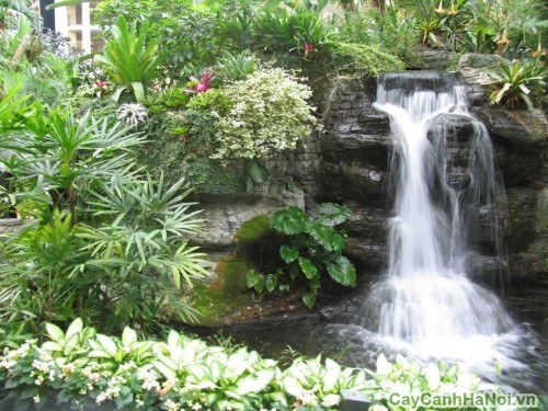 thiet ke tieu canh21