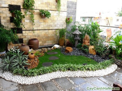 thiet ke tieu canh32