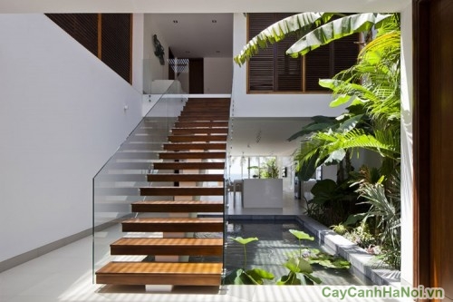 thiet ke tieu canh42