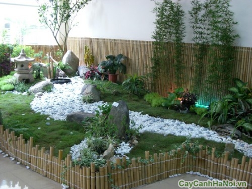 tieu canh trong nha11