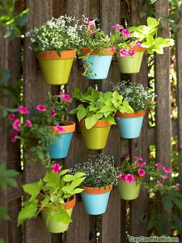 trang tri san vuon31