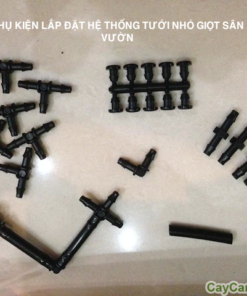 Hệ thống tưới nhỏ giọt cho vườn tường 1 tuoi nho giot vuon tuong 1