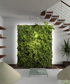 Tường cây dưới chân cầu thang 1 tuong cay chan cau thang 1