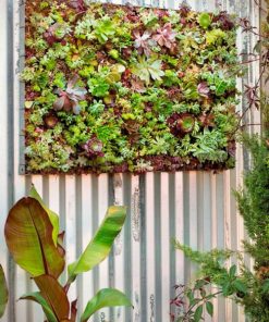 Tường cây dưới chân cầu thang 3 tuong cay chan cau thang 5