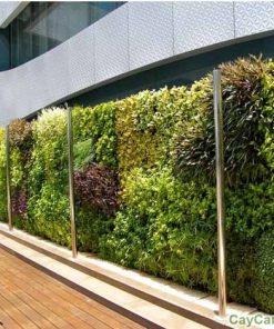 Tường cây ngoại thất 1 tuong cay ngoai that 3