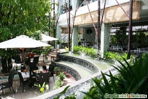 tieu canh quan ca phe