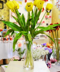 Hoa Tuy líp 2 hoa tuy líp