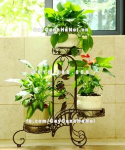 Kệ sắt châu âu ban công và hoa trong nhà 2 Kệ sắt châu âu ban công và hoa trong nhà