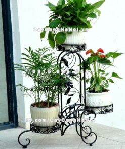 Kệ sắt châu âu ban công và hoa trong nhà 1 gia ke sat uon luon