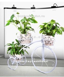 Kệ sắt cây hoa kiểu dáng xe đạp 4 Kệ sắt kiểu dáng xe đạp