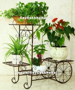 Giá sắt trang trí sân vườn