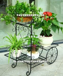 Giá sắt trang trí sân vườn