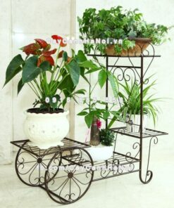 Giá sắt trang trí sân vườn