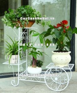 Giá sắt trang trí sân vườn