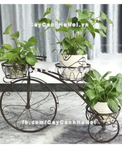 Kệ sắt cây hoa kiểu dáng xe đạp 2 ke gia cay hoa kieu dang xe dap mau bronze