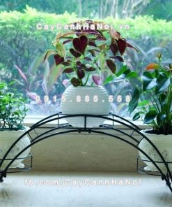 Giá kệ cây hoa phòng cách cổ điển pha hiện đại