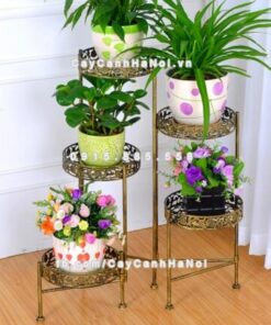 Kệ sắt trang trí cây hoa châu âu 2 ke sat trang tri 5tang